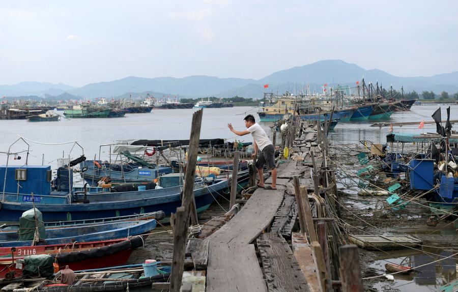 Un pescatore si prepara a tornare a casa nel porto di Bohe a Dianbai, nella provincia meridionale cinese del Guangdong. (5 settembre 2024 - Xinhua/Lu Hanxin)