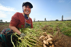 La Cina celebra la settima Festa del buon raccolto